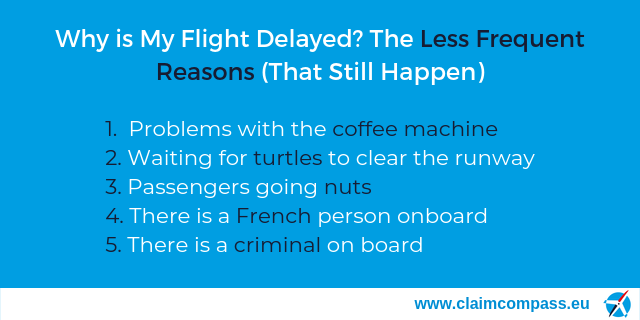 Why is My Flight Delayed? The 20 Main Reasons for Flight Delays